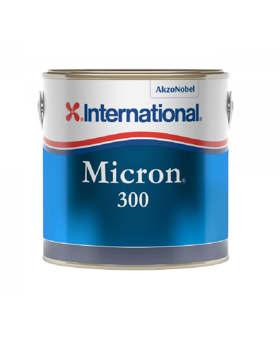 Micron 300 