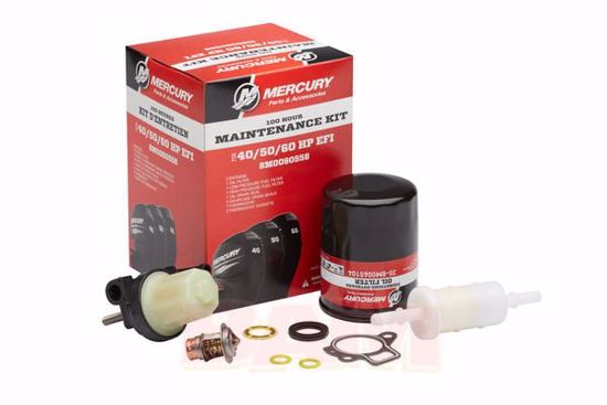 kit manutenção Mercury 40-60 HP EFI 100HR